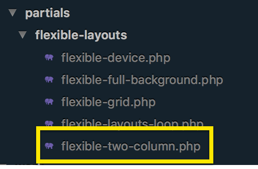flexible content partial name