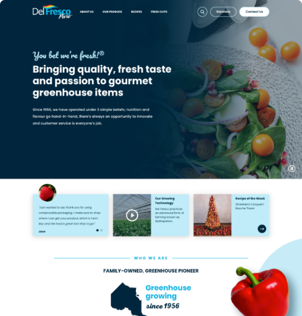 Website After Image